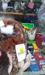 Owlie store window pic 1