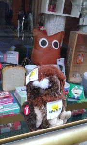 Owlie store window pic 2