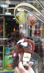 Owlie store window pic 3