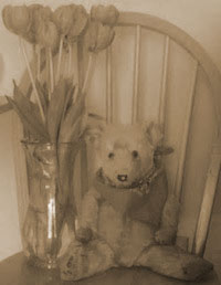 teddy bear and vase of flowers on a chair